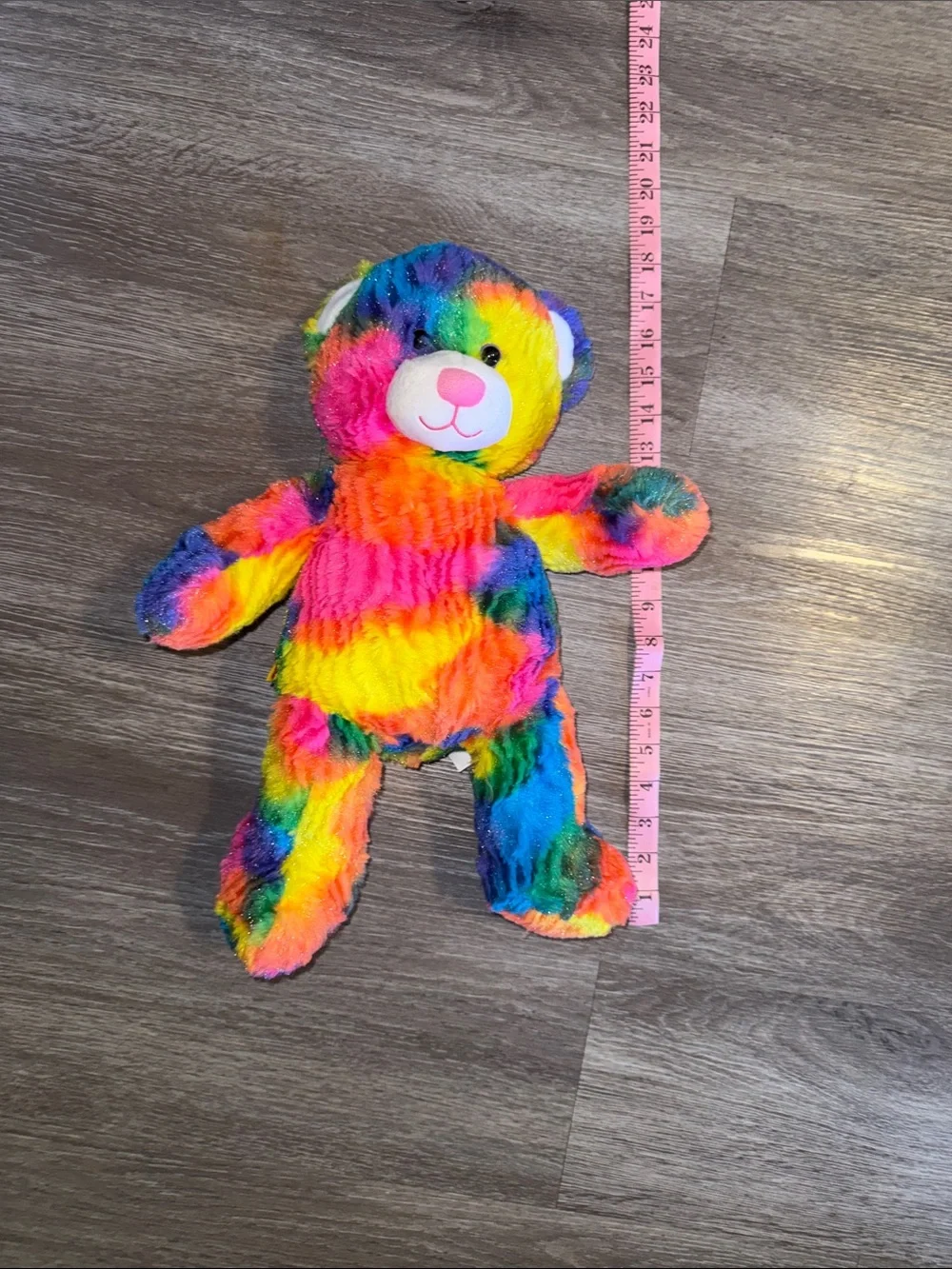 Build A Bear Rainbow Teddy Bear